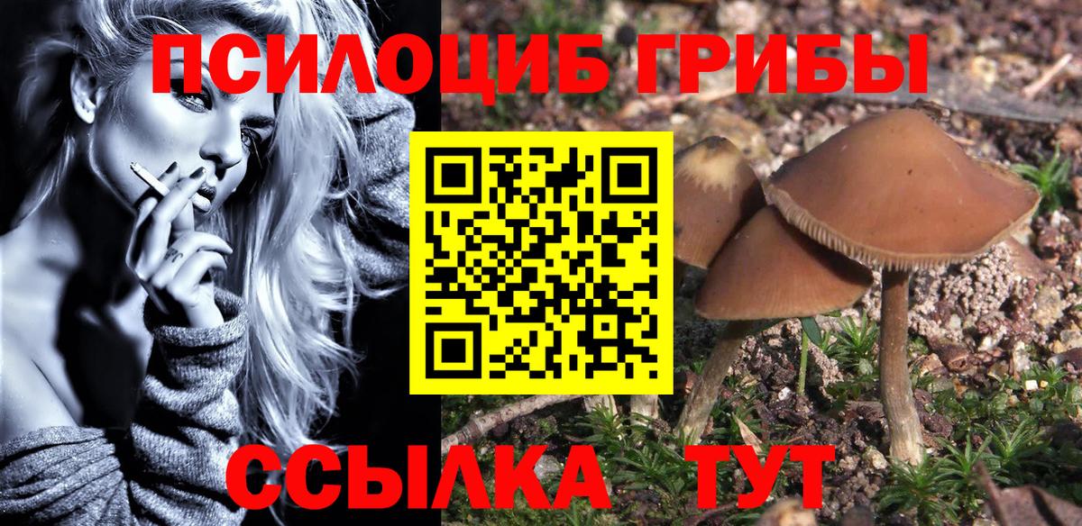 Псилоцибиновые грибы MAGIC MUSHROOMS Верхняя Пышма