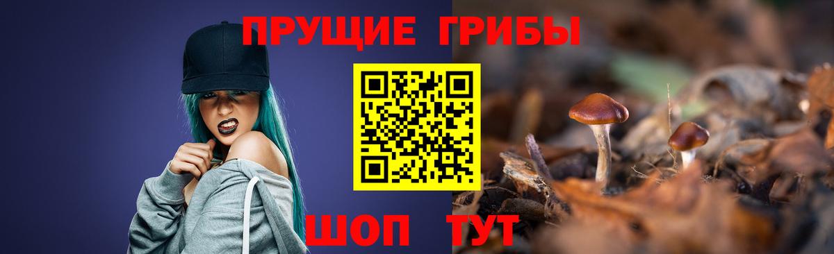 Верхняя Пышма  Галлюциногенные грибы Magic Shrooms  Вход с VPN  Галлюциногенные грибы мицелий 